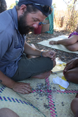 Sorting fossils